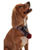 Barbour Dog Case FairIsle Scarf